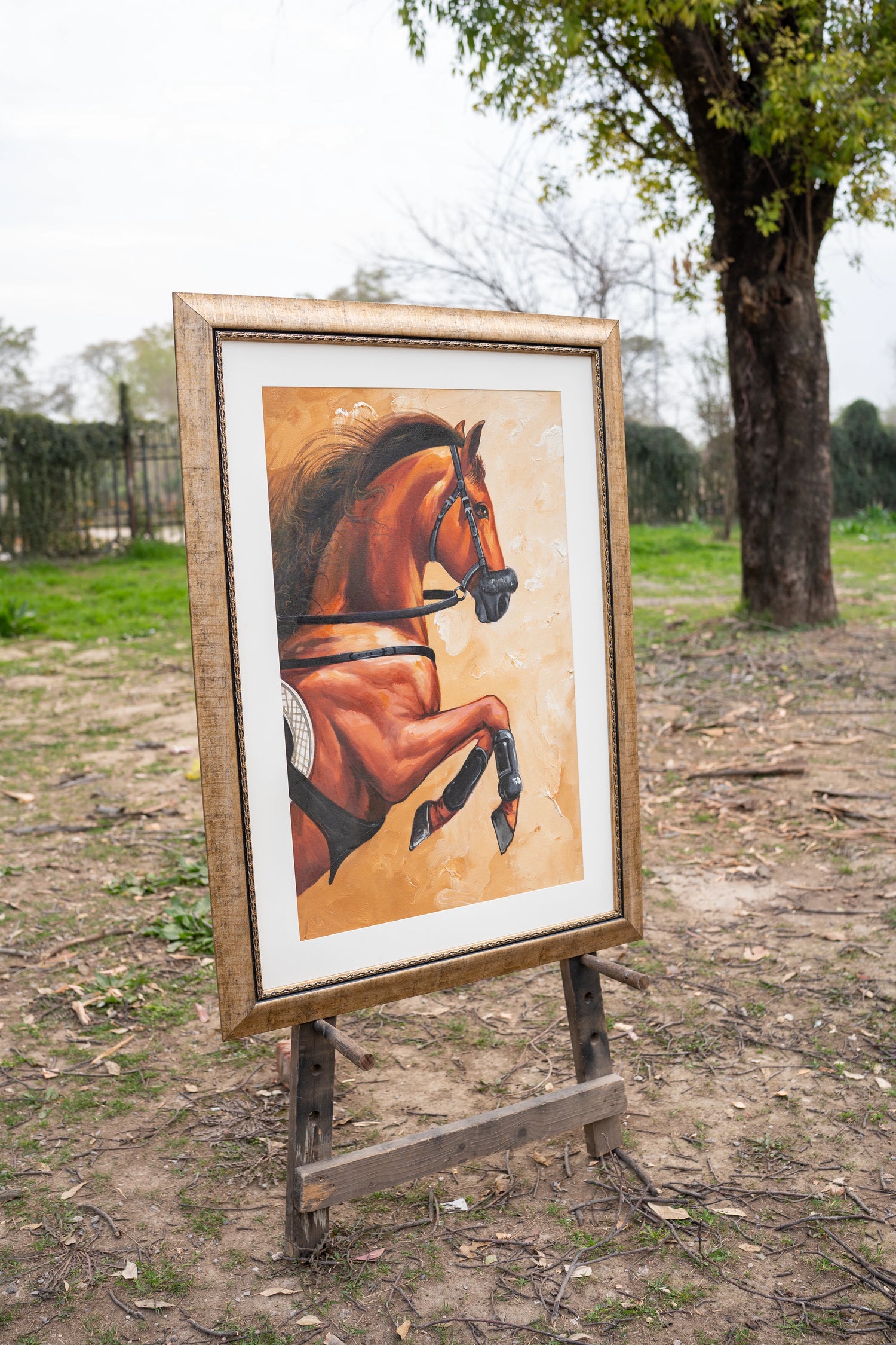 Galloping Bay Stallion Premium Framed Wall Art