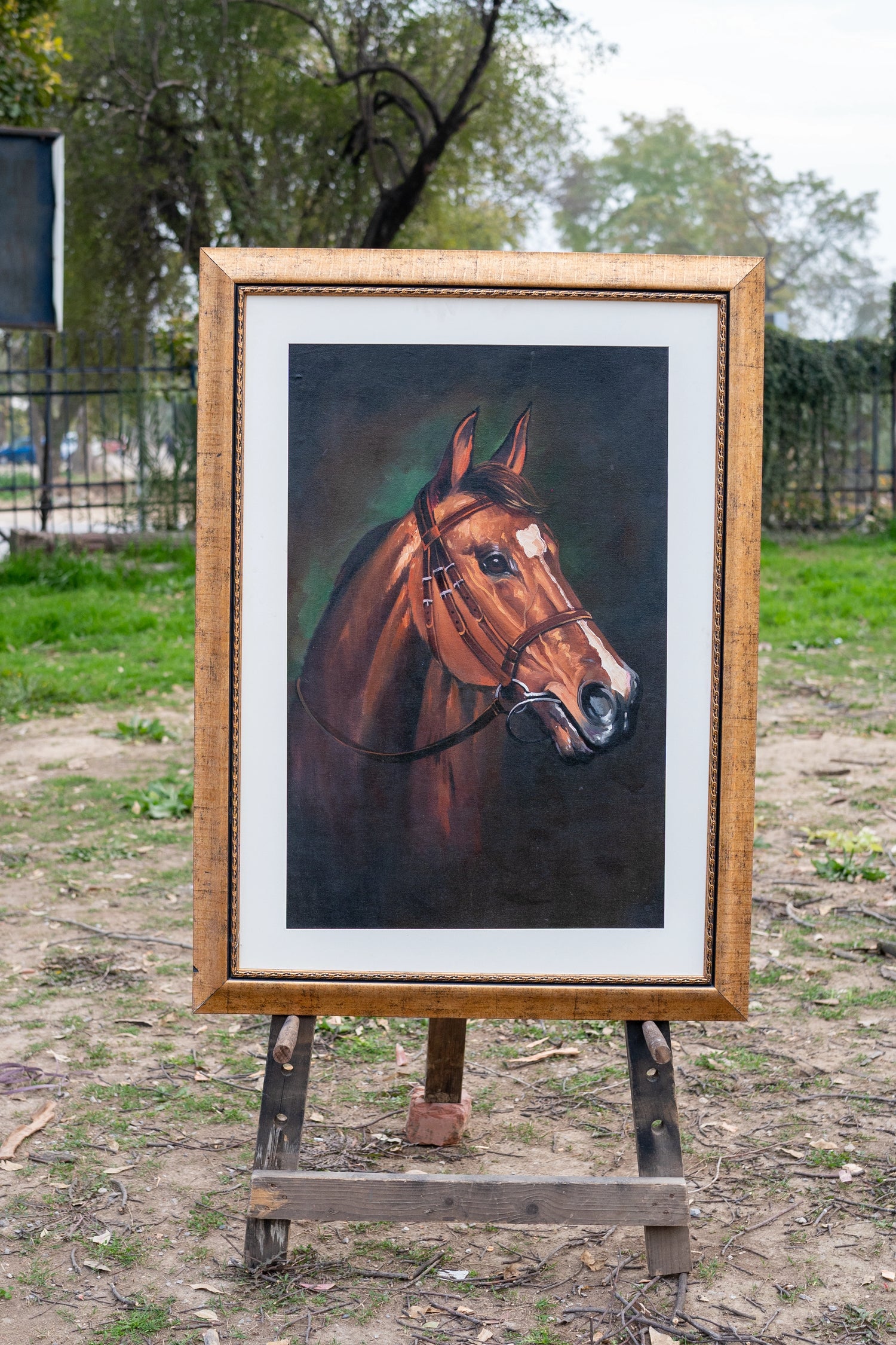 Majestic Equine Portrait Series
