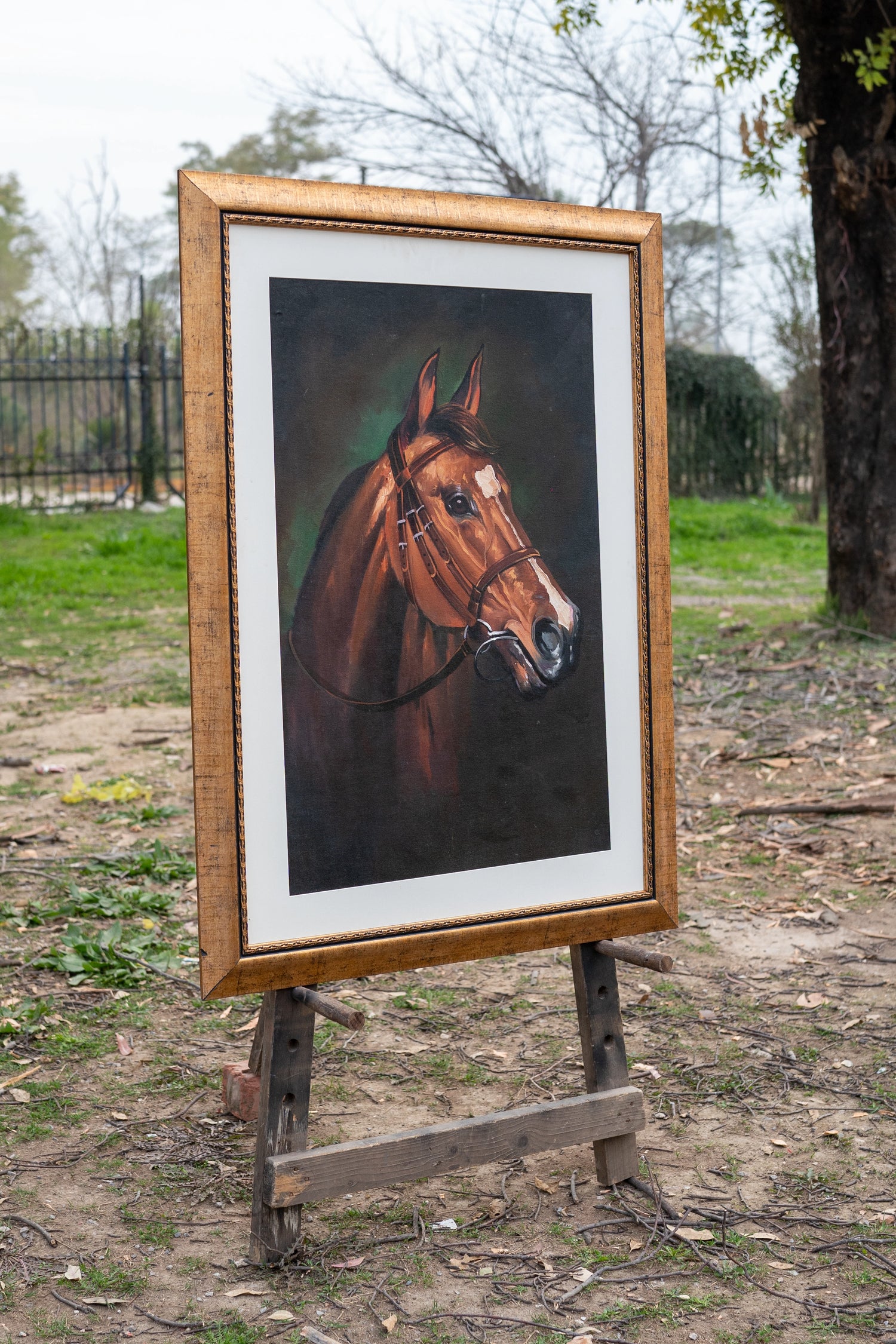 Majestic Equine Portrait Series