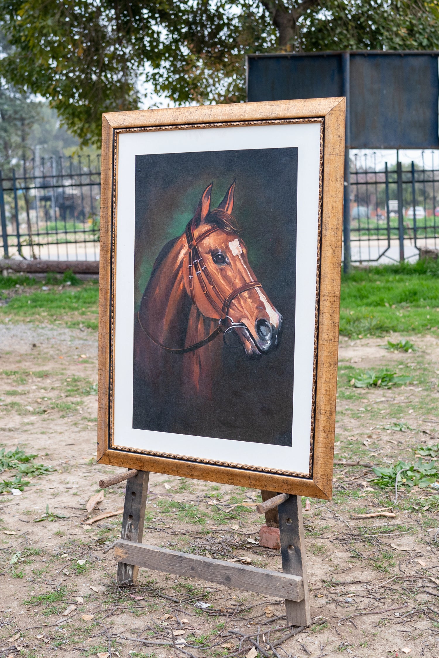 Majestic Equine Portrait Series