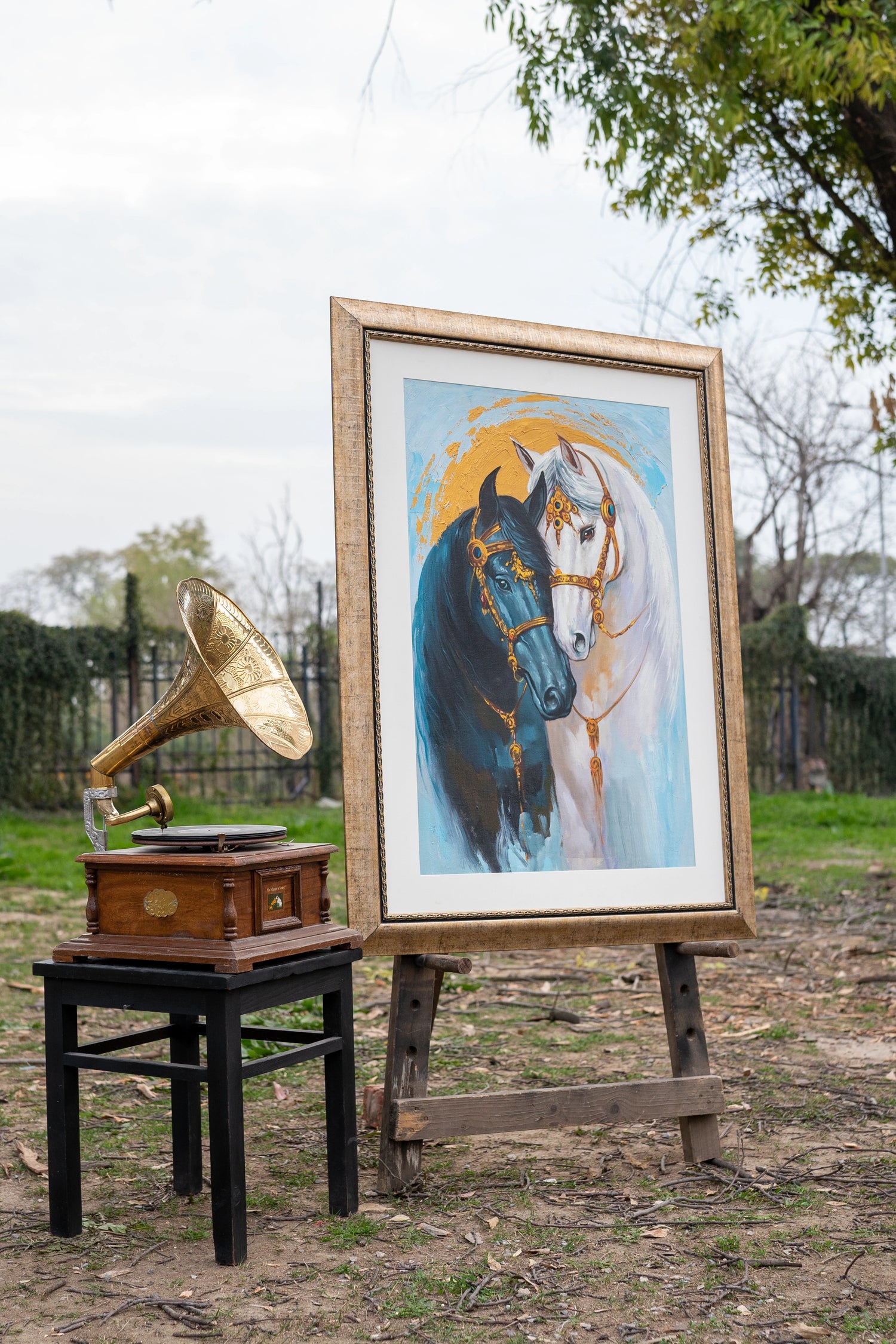 Majestic Equine Portrait Series