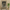 Ashen Bloom – Portrait Palette Painting by Professor's Gallery