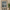 Echoes of the Badshahi Mosque – Portrait Palette Painting by Professor's Gallery